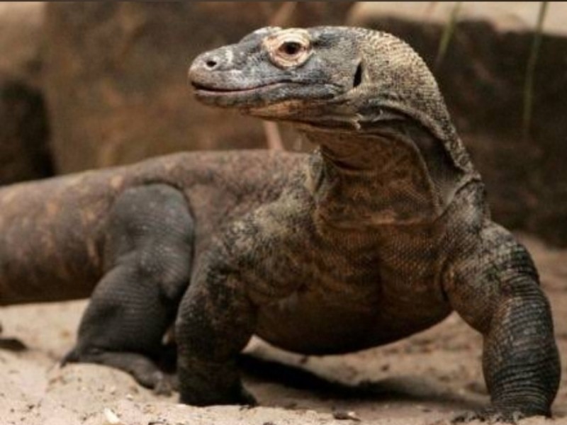 Sunset Kanawa Island Komodo National Park Indonesia