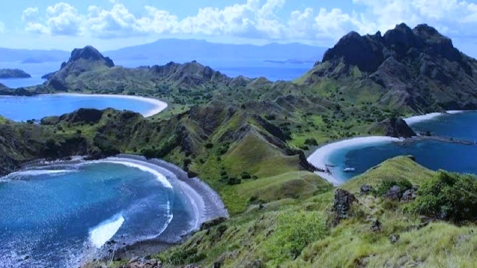 Flores Komodo Sumba Private Tours by Local Experts
