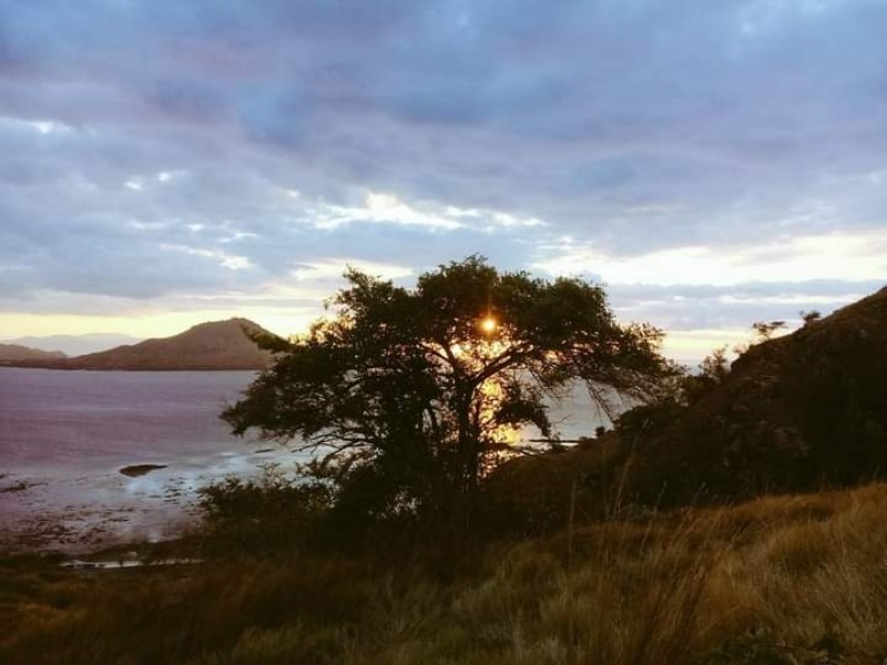 Private Flores, Komodo & Sumba Tours by Local Experts