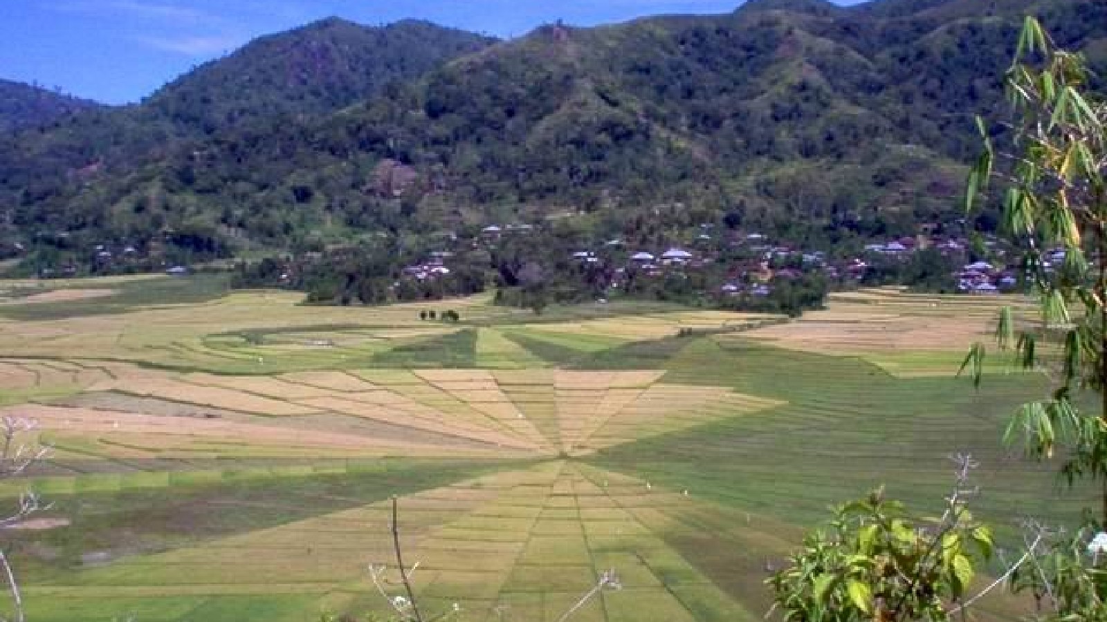 Private  Tours in Flores, Komodo & Sumba by Local Experts